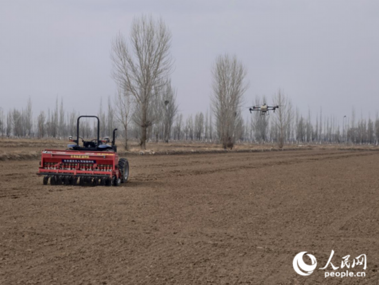 寧夏銀川市興慶區通貴鄉，無人機駕駛拖拉機與無人機在田間忙碌。人民網記者 梁宏鑫攝