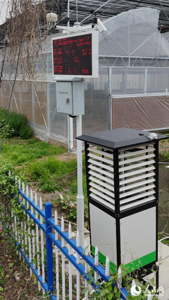 在福建省漳州市龍海區東園鎮港邊村育苗基地，佇立在田間的“AI蟲情測報儀”。人民網 李昌乾攝