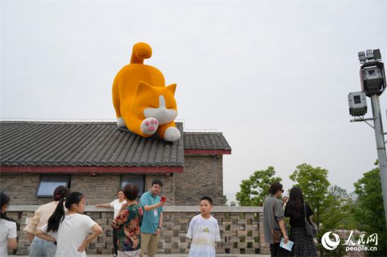 橘貓趴在屋頂憨態可掬。人民網 劉汕攝